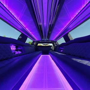 Rent Ford Raptor Limousine UAE