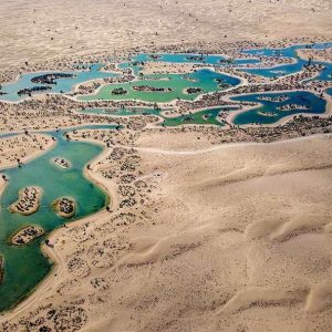 Al Qudra Lake Books Car on Rent with Driver in Dubai Abu Dhabi UAE 1