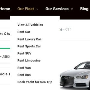 Rent Cars with Driver in Dubai Sharjah Abu Dhabi UAE